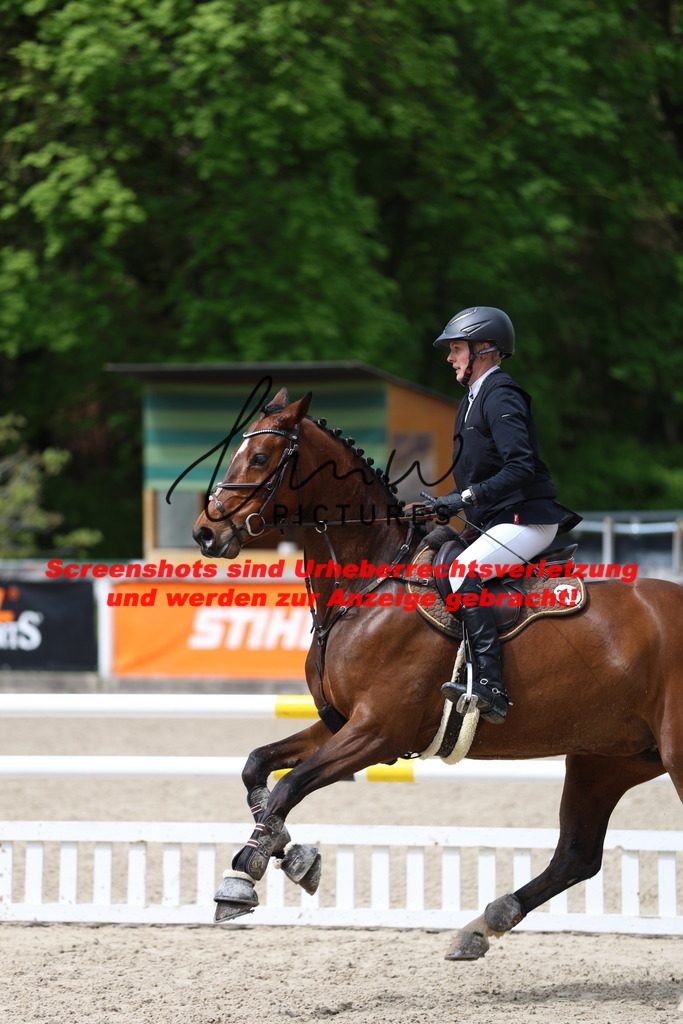 A40A1906 | lmwpictures - Realisiert mit Pictrs.com