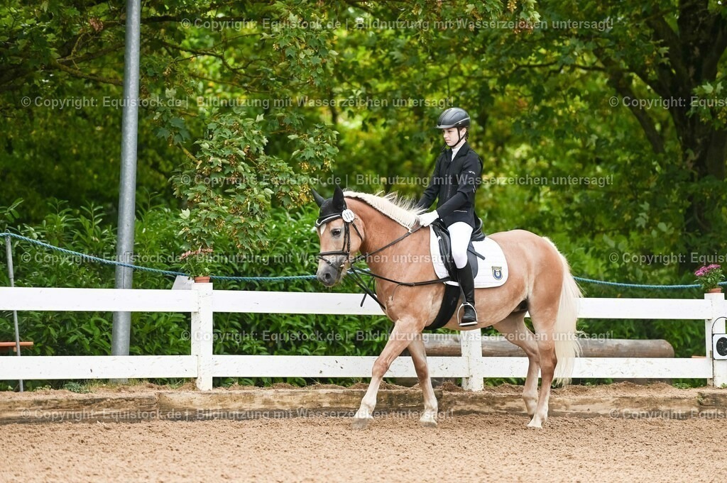 20230716_10-1_Reiter-WB Schritt - Trab - Galopp_0009 | equistock