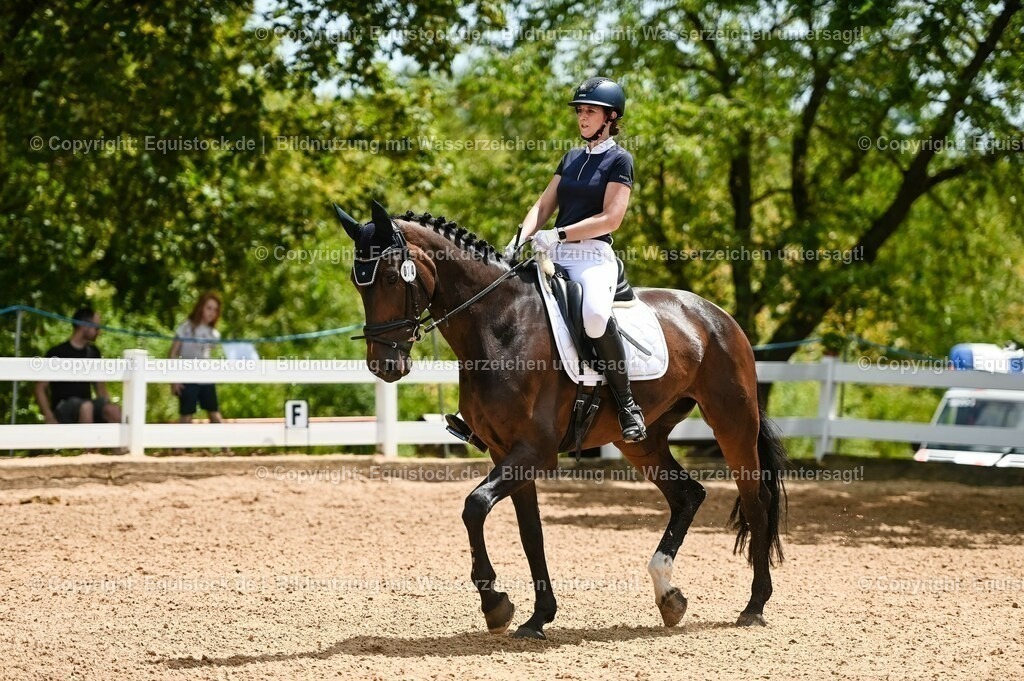 20230715_05_Dressurprüfung Kl.A++_0189 | equistock