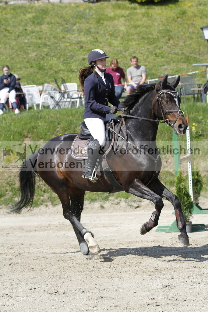 _MG_9502 | equestrian-live-com