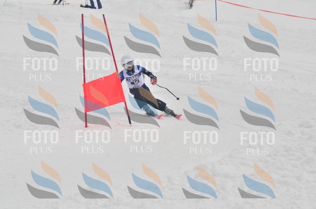 A5512 | holidayphoto