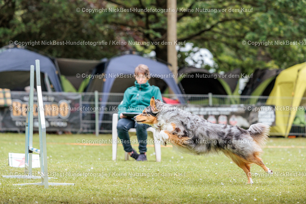 RO-Blumenthal-2026-Nickbest-Hundefotografie-2862 | Dein Hund! Dein Moment! Deine Erinnerungen! Hundefotografie in Bremen Blumenthal. Ich fange die besonderen Momente deines Vierbeiners ein – ob Indoor mit Blitzanlage oder in der freien Natur. Sicher dir dein Moment und dein Termin für eure Erinnerungen.