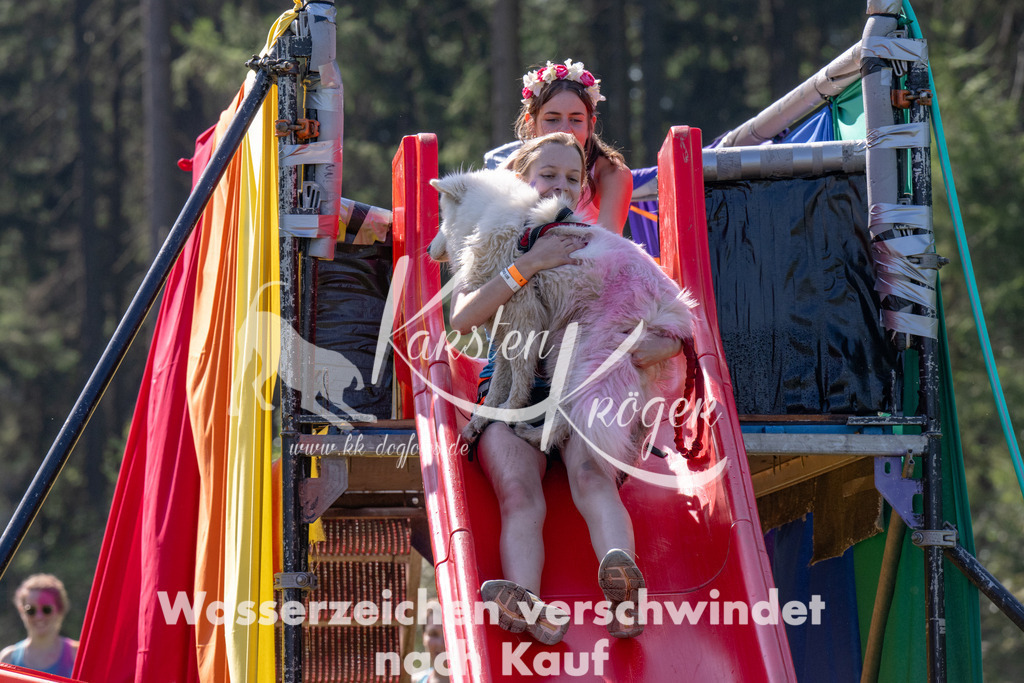 1213_ZZ91114 | kk-dogfotos