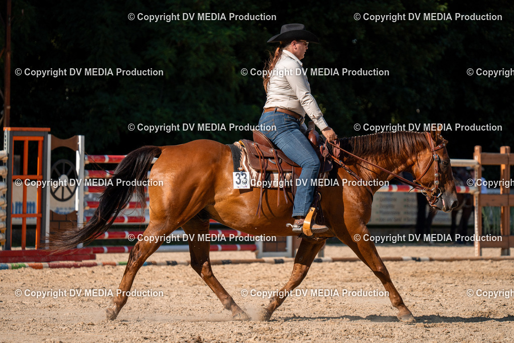 ZH100790 | dv-media-shop - Realisiert mit Pictrs.com