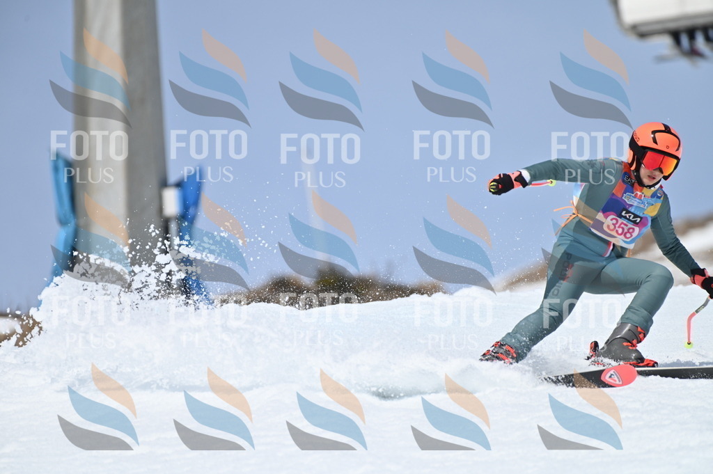 BGV_3798 | holidayphoto