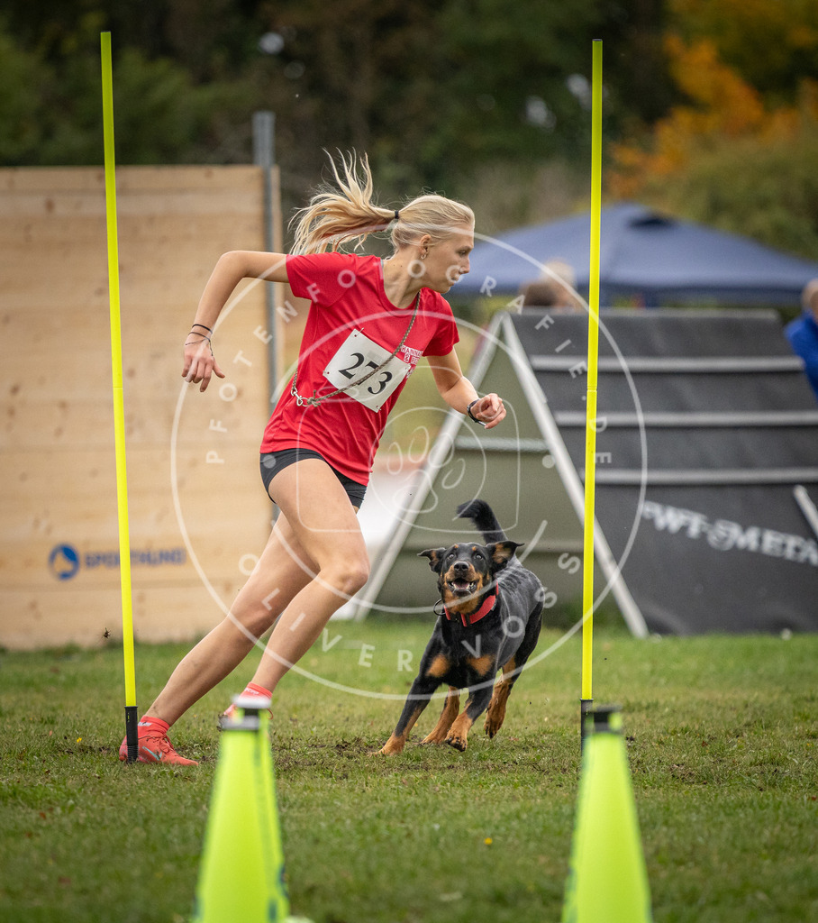 Pfotenfotografie_DV3A0299 | Hundefotografie, Tierfotograf, Pfotenfotografie, Fotoshooting Hund, Hunde Portrait, Hundesport, Hundeportraits, Heideshooting, Hunde, Sportfotograf, Hundefotograf, Turnierhundsport, THS,  - Realisiert mit Pictrs.com