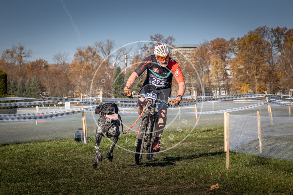 CaniXpix_0L8A5390 | Hundefotografie, Tierfotograf, Pfotenfotografie, Fotoshooting Hund, Hunde Portrait, Hundesport, Hundeportraits, Heideshooting, Hunde, Sportfotograf, Hundefotograf, Turnierhundsport, THS,  - Realisiert mit Pictrs.com