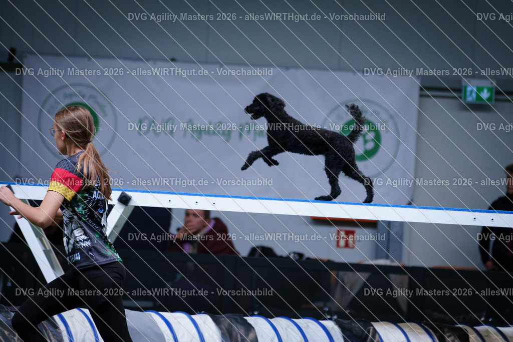 allesWIRTHgut_Tierfotografie-DVG_Agility_Masters_2026-13_37-7R503615 | Professionelle Tierfotografie in Mönchengladbach von Daniel Wirth (allesWIRTHgut). Liebevolle & natürliche Bilder von Hunden & Katzen für unvergessliche Erinnerungen.