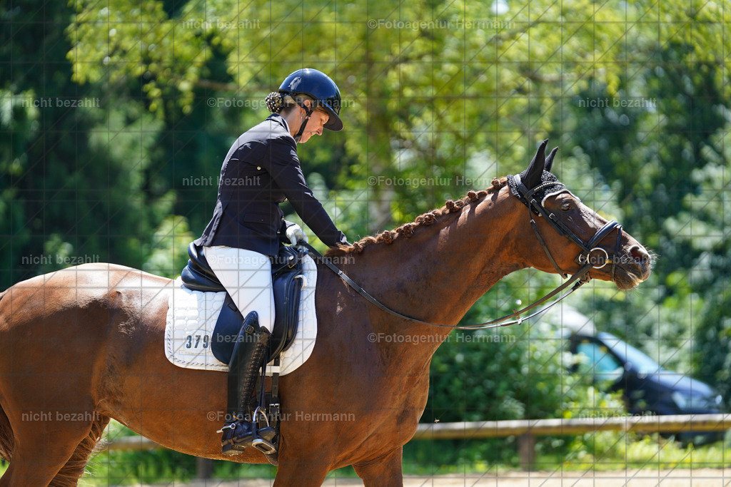 20240705-FAH03856 | Turnierbilder von Grafing, Reitsportbilder, Turnierfotos, Turnierfotografen Bayern, Pferdefotograf, Fotoagentur Herrmann