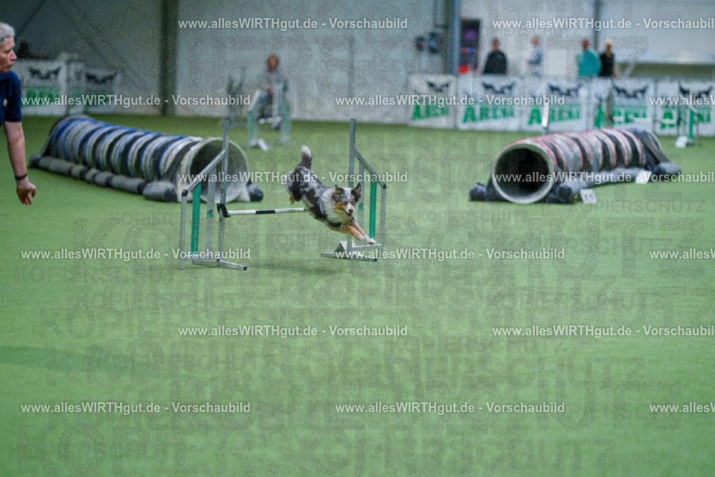 @allesWIRTHgut_Tierfotografie - www.allesWIRTHgut.de - 2604250958-7R509366 | Professionelle Tierfotografie in Mönchengladbach von Daniel Wirth (allesWIRTHgut). Liebevolle & natürliche Bilder von Hunden & Katzen für unvergessliche Erinnerungen.