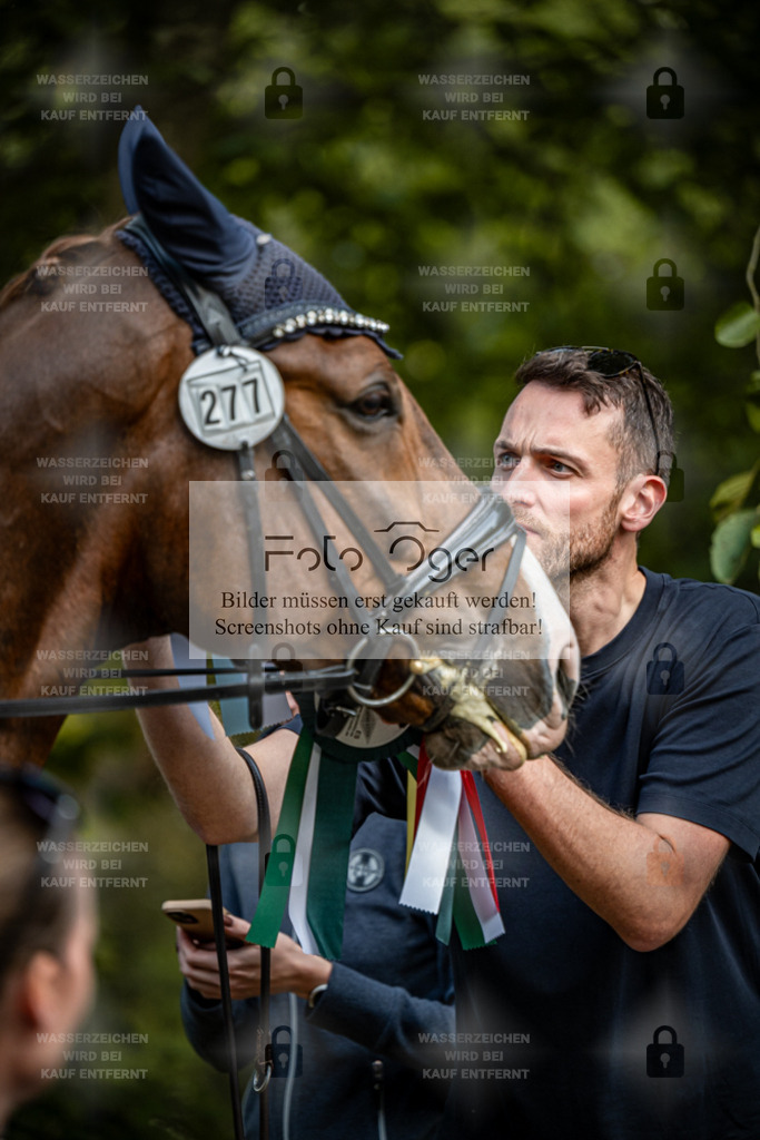 2026-10-Helle-14-0002 | Entdecke hochwertige Reitturnierfotos von Foto Oger. Professionell, emotional und authentisch – jetzt Lieblingsmomente im Shop bestellen.Deutschlandweite Turnierfotografie. - Realisiert mit Pictrs.com