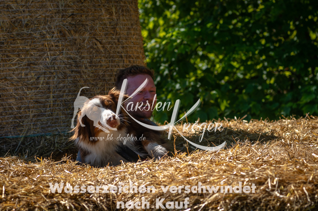 1039STR_5635 | kk-dogfotos