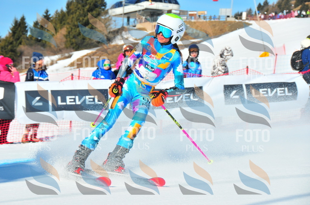 DSC_3677 | holidayphoto