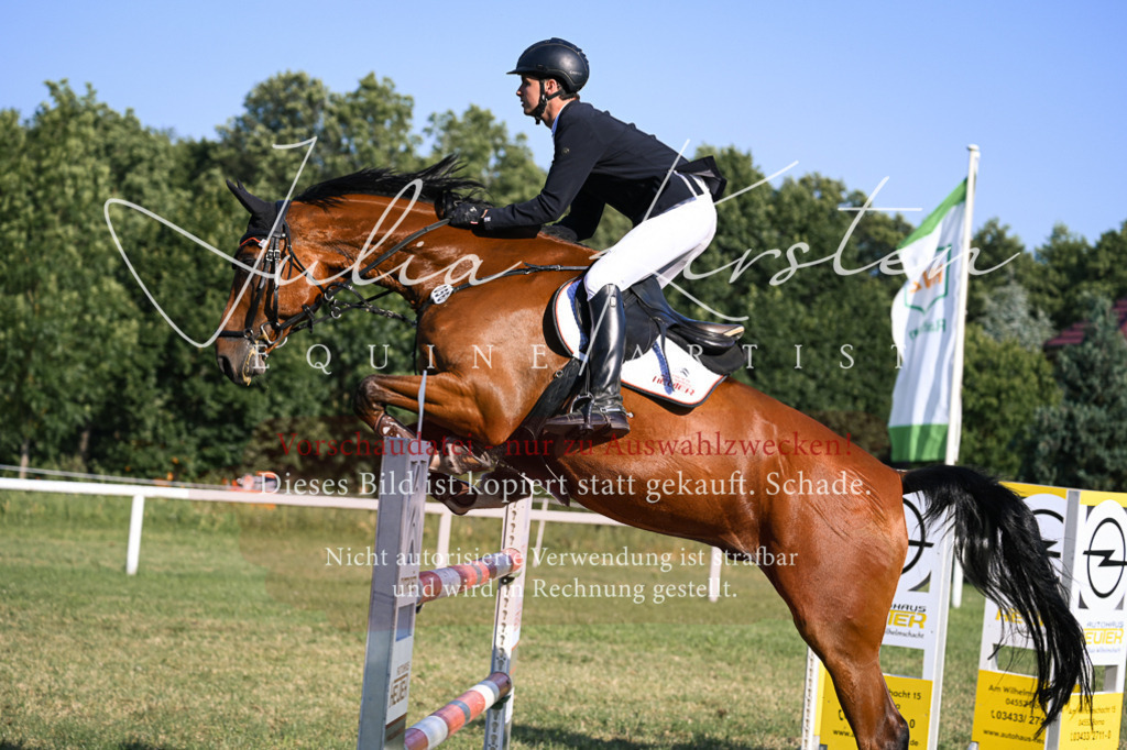 DSC_1701 | Pferde- und Turnierfotografie in Westsachsen. Pferdeportraits, Auftragszeichnungen und intuitive Kunst.
