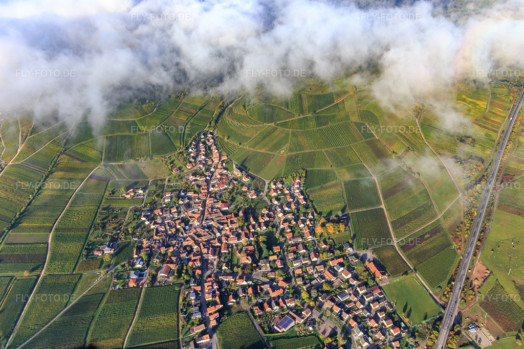 Luftbild: Winzerdorfansicht am Keschdebusch unter Wolken aus Osten in Birkweiler im Bundesland Rheinland-Pfalz in Deutschland. Foto: IMG_103766.jpg vom 01.10.2017 durch Werner Riehm/FLY-FOTO.de