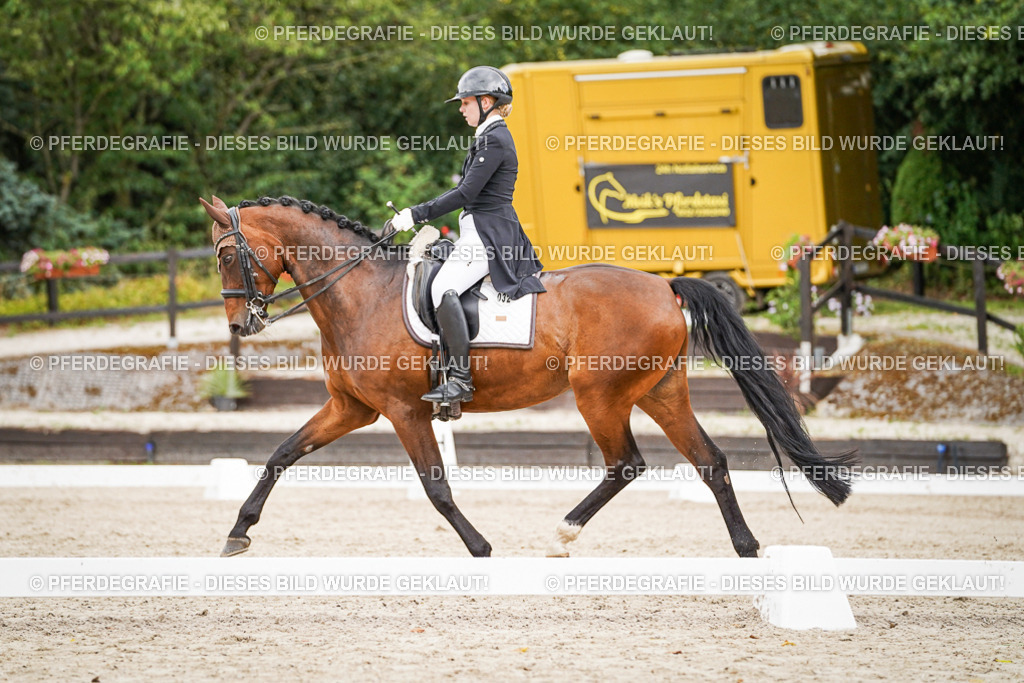 DSC05535 | Pferdegrafie