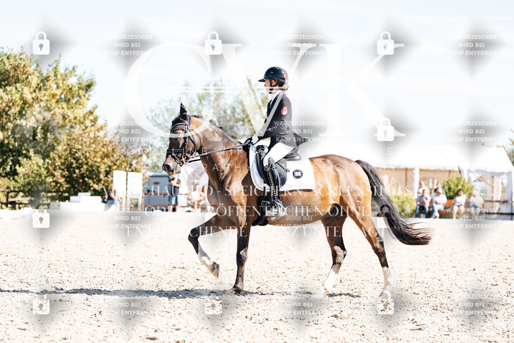 CK909672 | Turnierfotografie Pferdefotografie Trier Rheinland-Pfalz Pferdesport Reitsport Tierfotografie Sportfotografie Pferdevideo Pferdevideografie Equestrianvideography equestrianphotography  - Realisiert mit Pictrs.com