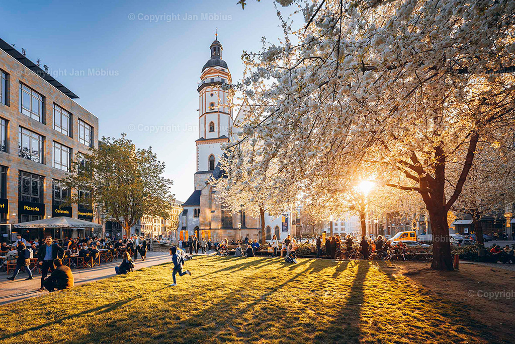 _DSC6554 | Leipzig Wandbilder Drucke Prints Leinwand Stadtmotive Leipzig Fotosdruck Kunstdrucke Bilder Leipzig Stadtansichten Acrylglasbilder Leipzig Wanddeko Fine Art Prints Wandbilder Büro Leipzig Bilder Praxis Zuhause Bilderdruck Poster Posterlounge Kunstdrucke - Realisiert mit Pictrs.com