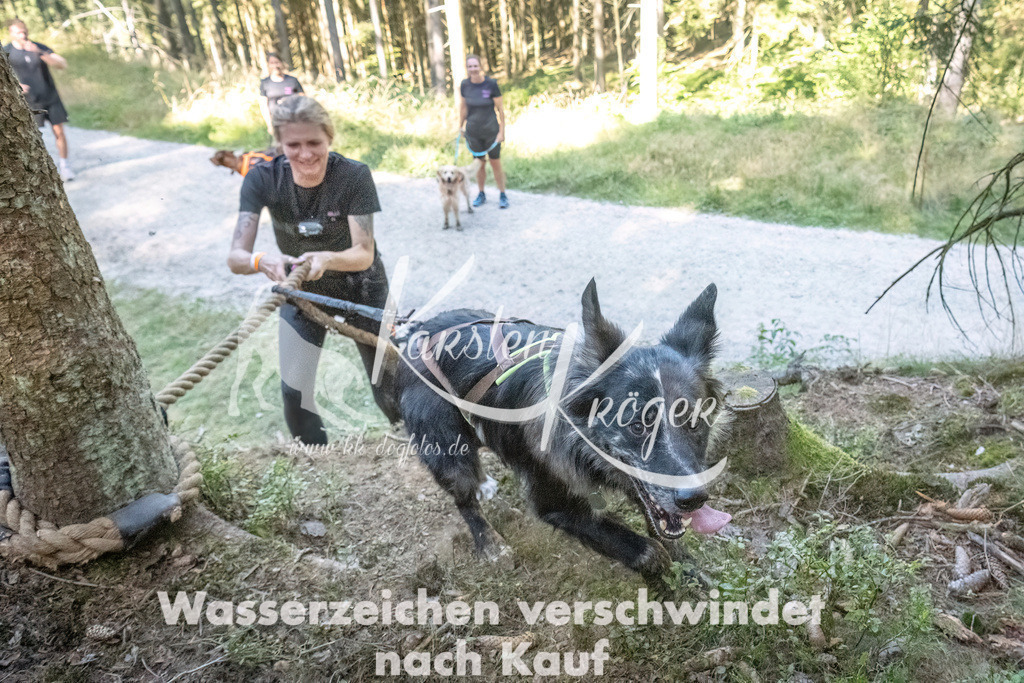 1155_ZZ92501 | kk-dogfotos