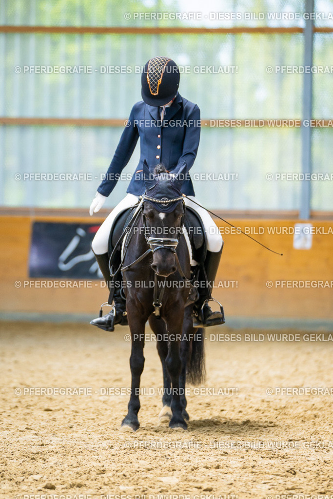 DSC09013 | Pferdegrafie