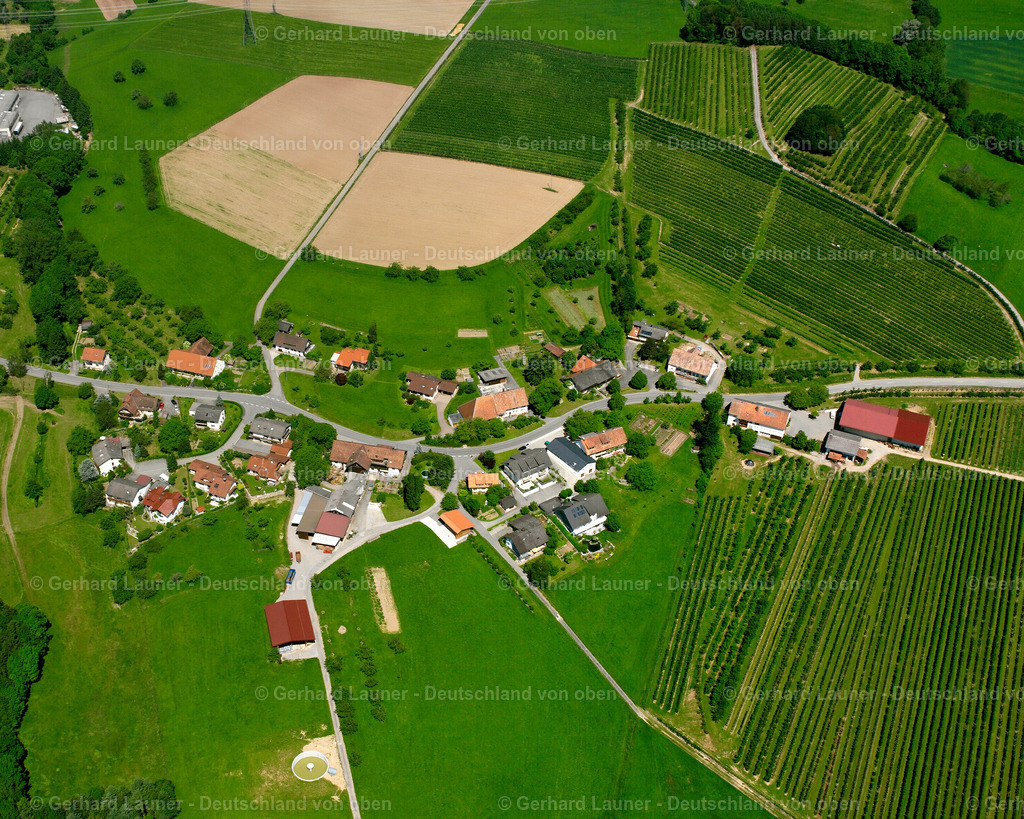 2530373 | Buch-Haide