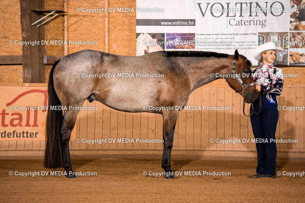 NE100062 | dv-media-shop - Realisiert mit Pictrs.com