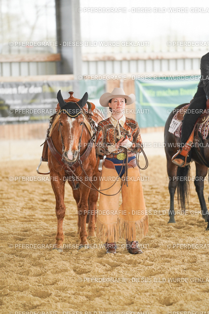 DSC05099 | Pferdegrafie