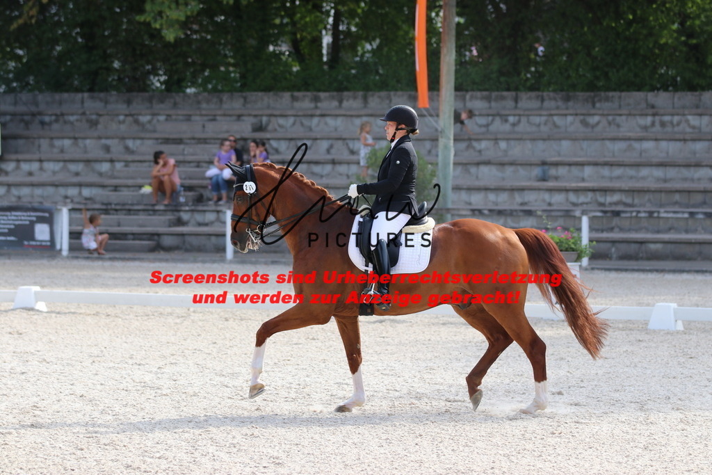 IMG_5632 | lmwpictures - Realisiert mit Pictrs.com