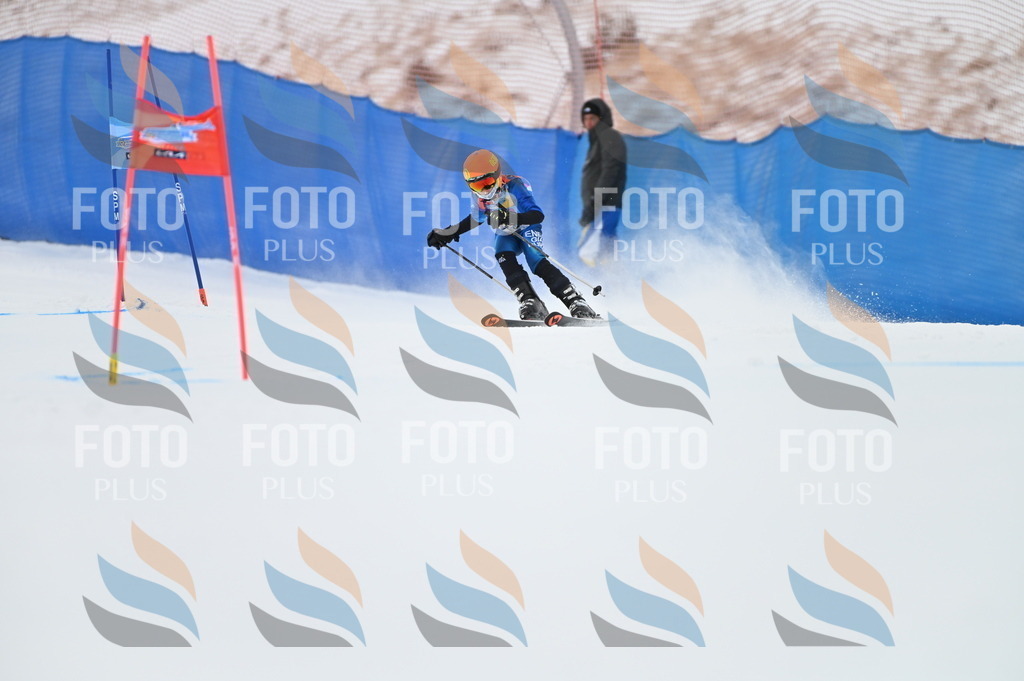 BGV_9674 | holidayphoto