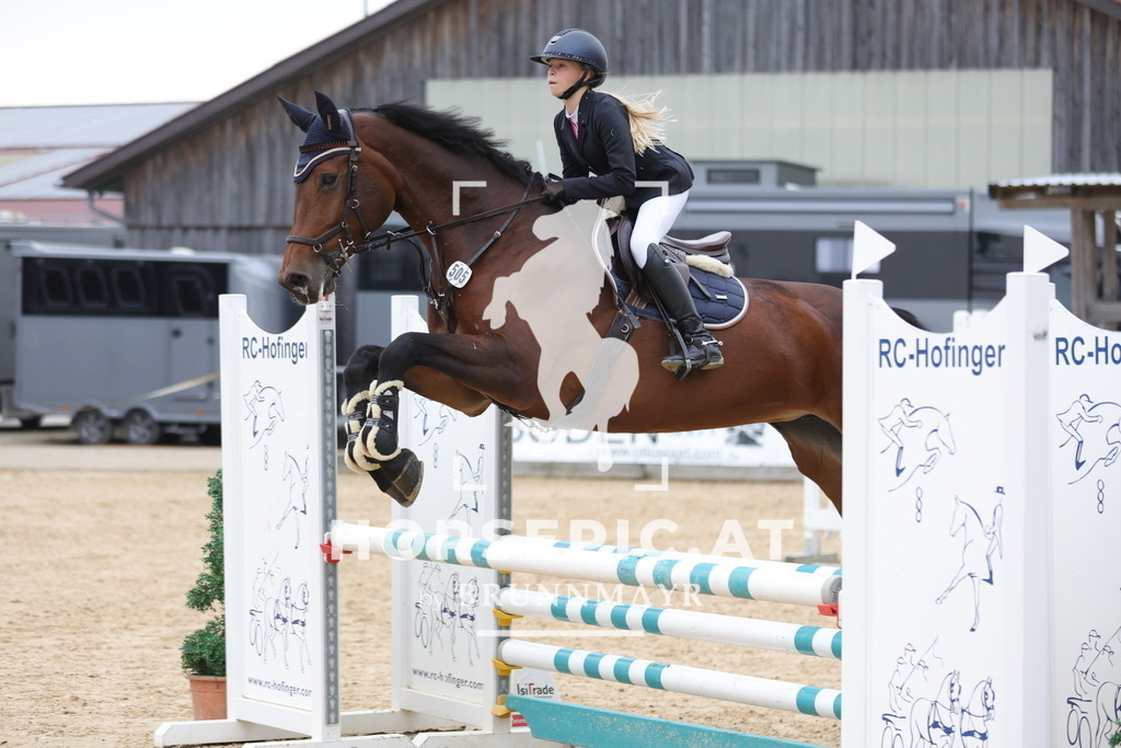 0P6A5359 | Willkommen bei Brunnmayr - Design & Fotografie – Ihrem Spezialisten für Reitturniere und Pferdeveranstaltungen in Oberösterreich, Salzburg und Bayern! Seit über 17 Jahren sind wir leidenschaftlich dabei.