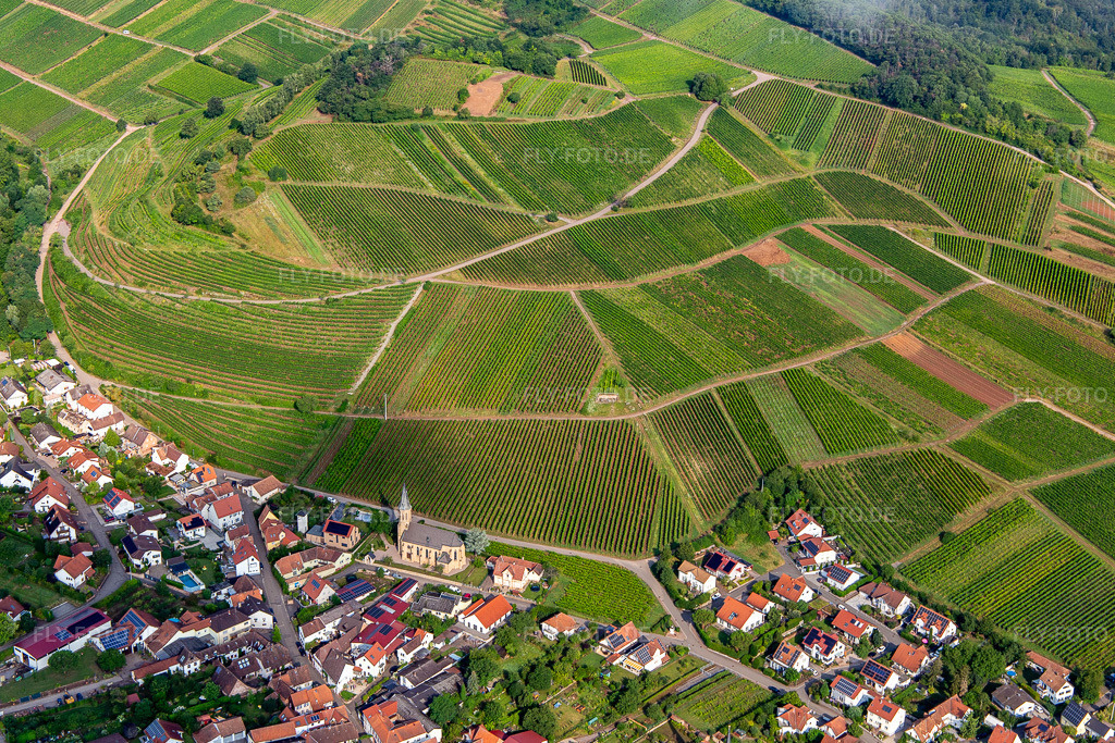 Luftbild: Weinlage Kastanienbusch hinter dem Weinort von Südosten in Birkweiler im Bundesland Rheinland-Pfalz in Deutschland. Foto: IMG_142963.jpg vom 03.08.2024 durch Werner Riehm/FLY-FOTO.de