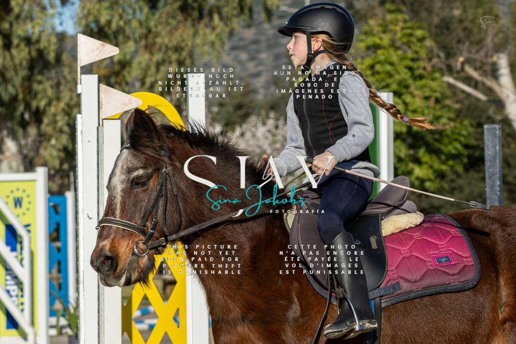 IMG_7709 | s-jay-photography - Realisiert mit Pictrs.com