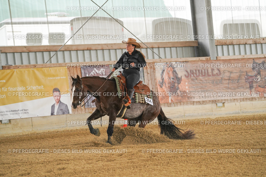 DSC07446 | Pferdegrafie