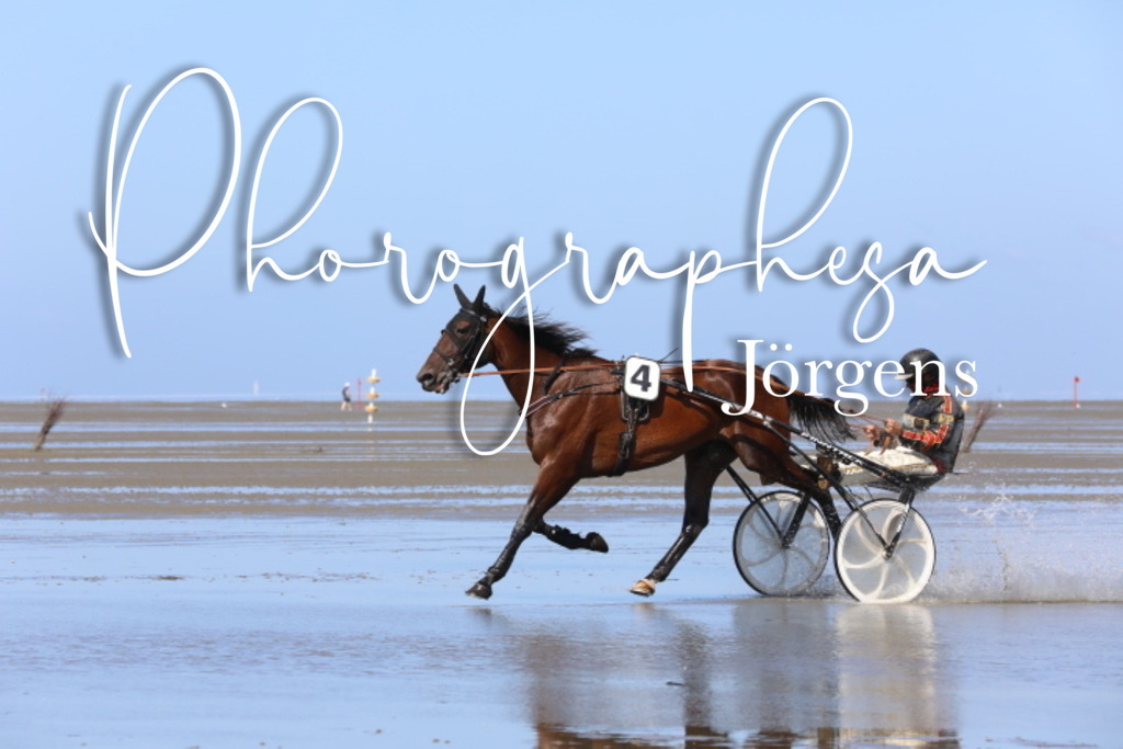 IMG_9511 | photographesa-joergens - Realisiert mit Pictrs.com