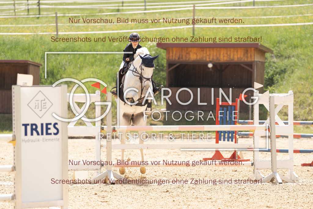DSC06604 | Springturnier_Ehingen_Mai_2026, Henriette_Böttiger, Con_curly_D
