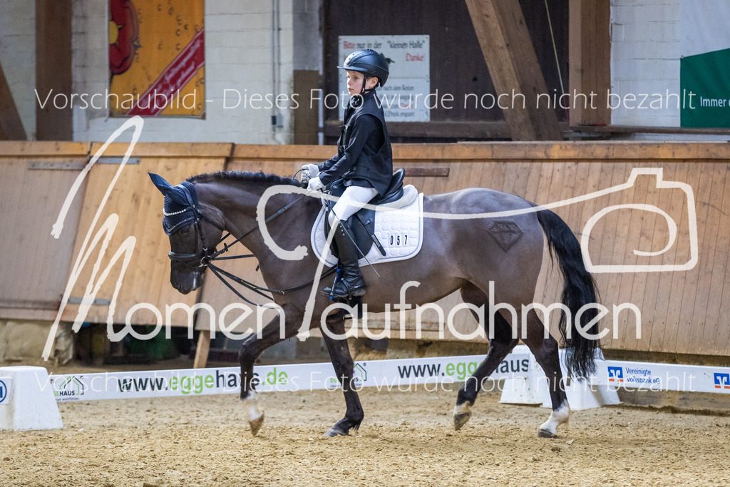 _M2A1942 | MomenTaufnahmen Pferdesportfotos