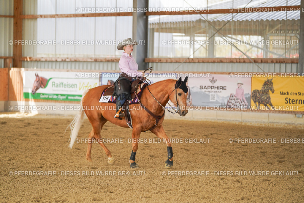 DSC02896 | Pferdegrafie