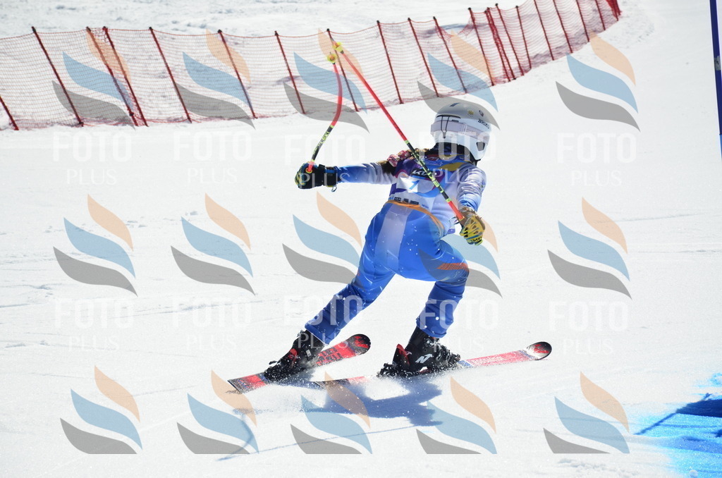 _ELE9691 | holidayphoto