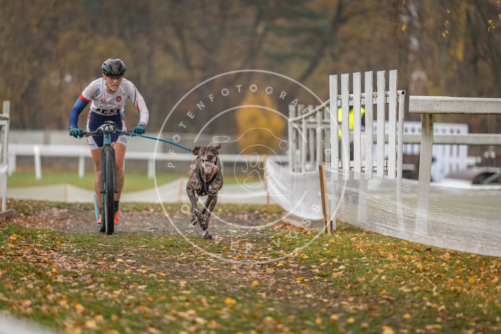 CaniXpix_DV3A7420 | Hundefotografie, Tierfotograf, Pfotenfotografie, Fotoshooting Hund, Hunde Portrait, Hundesport, Hundeportraits, Heideshooting, Hunde, Sportfotograf, Hundefotograf, Turnierhundsport, THS,  - Realisiert mit Pictrs.com