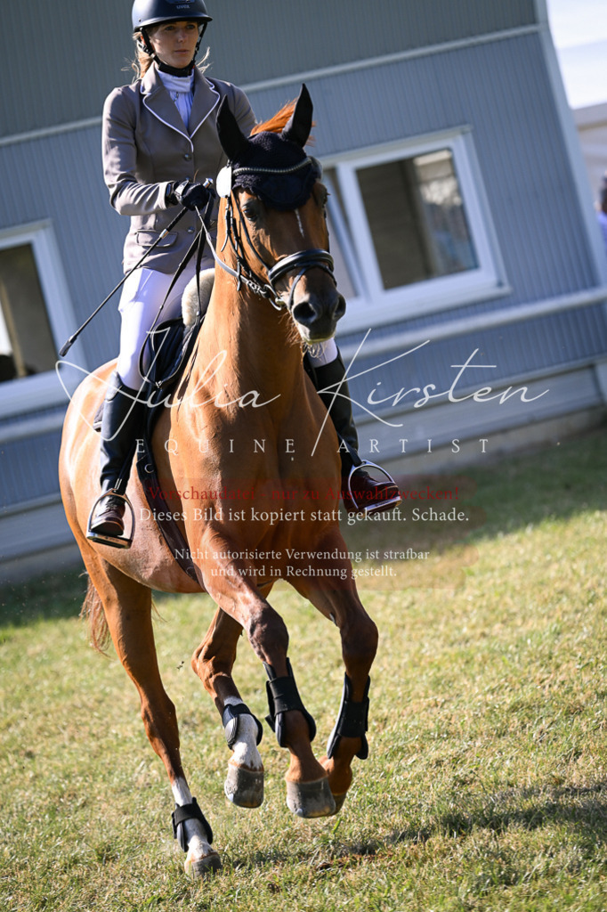 DSC_1307 | Pferde- und Turnierfotografie in Westsachsen. Pferdeportraits, Auftragszeichnungen und intuitive Kunst.
