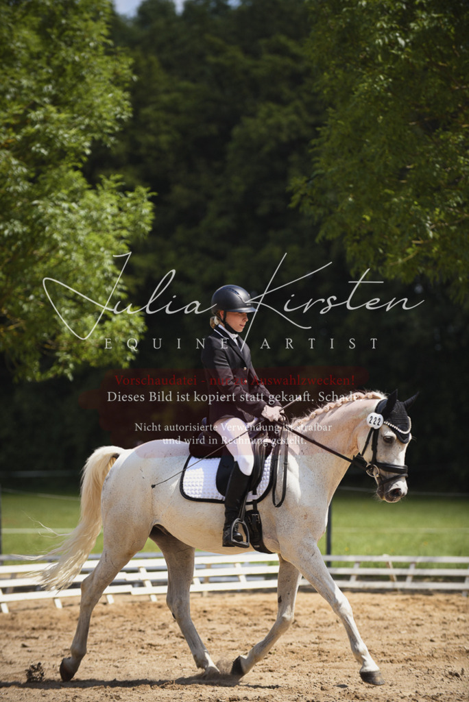 DSC_1107 | Pferde- und Turnierfotografie in Westsachsen. Pferdeportraits, Auftragszeichnungen und intuitive Kunst.