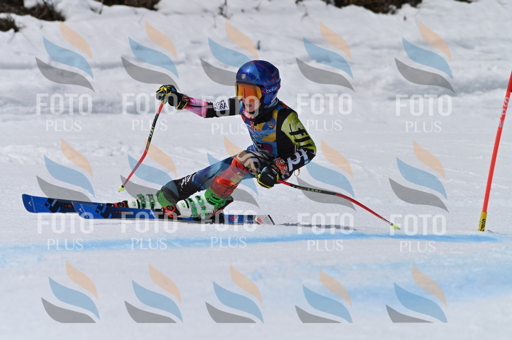 BGV_6828 | holidayphoto