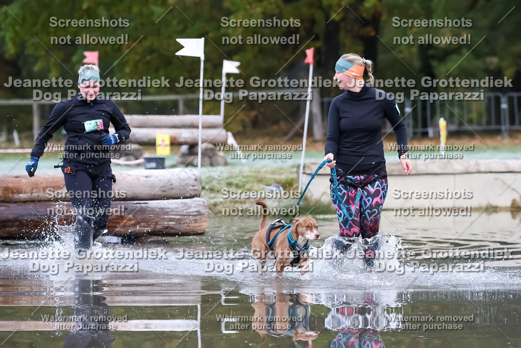 Dog Paparazzi - Strongdog 10-25-6090 | Dog Paparazzi Jeanette Grottendiek Fotografie & Videografie - Realisiert mit Pictrs.com