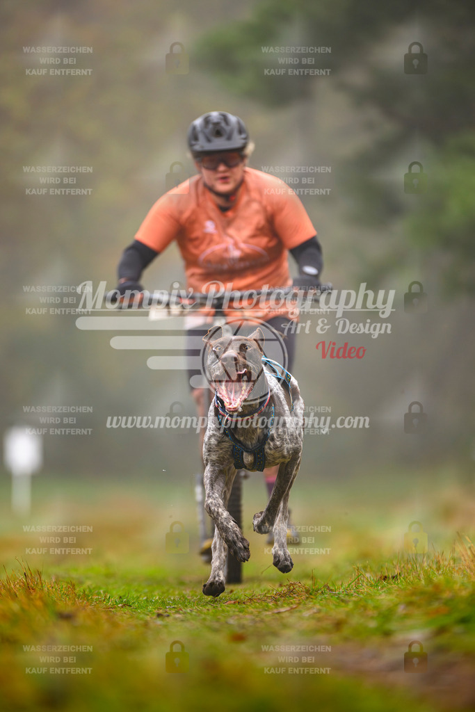 MompixPhotography_Bischwiller2025_Scooter-28 | mompixphotography