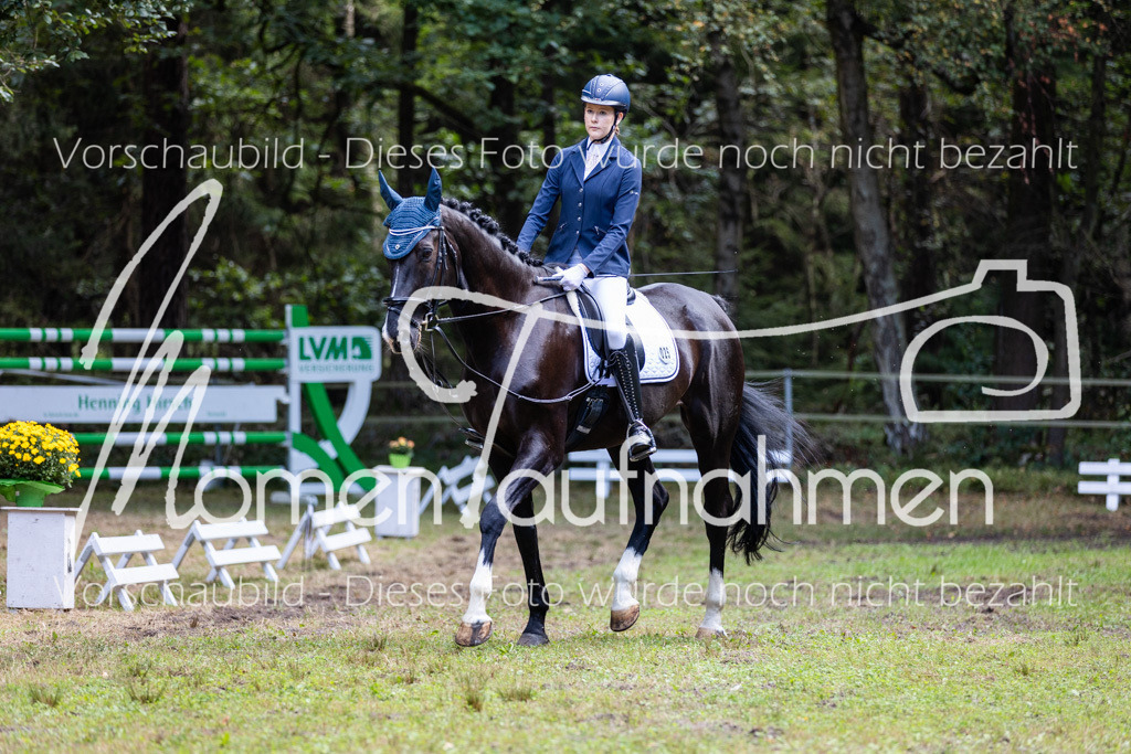 HB-Dressur-WB-086 | MomenTaufnahmen Pferdesportfotos