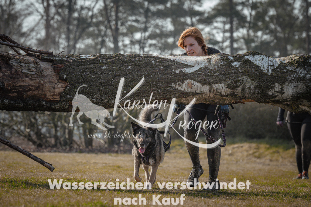 1014_ZZ91885 | kk-dogfotos
