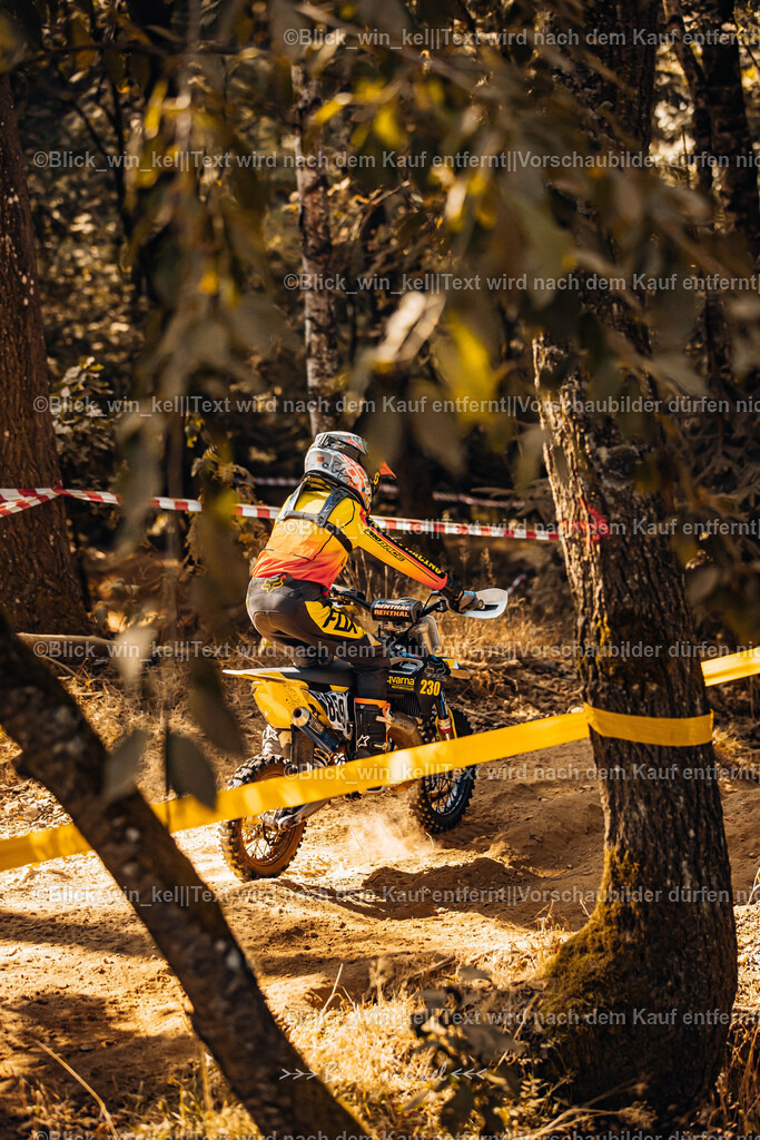 E68A6356 | blick_win_kel