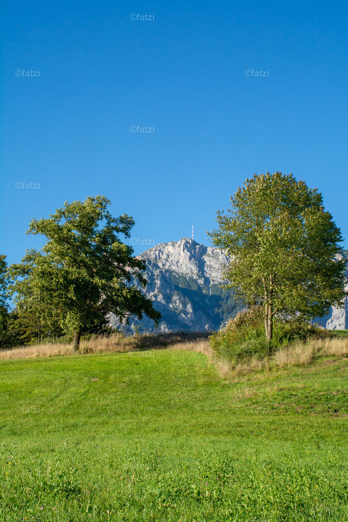 Dobr Panorama 2025 (Hohenthurn)_170903__fatzi | Fatzi Bilder-Archiv! 
Die Bilder sind für private Nutzung lizenzfrei. Die kommerzielle Nutzung ist möglich und erwünscht, jedoch bitte ich um vorherige Kontaktaufnahme per E-Mail (info@fatzi.at) oder unter +43 650 7828269 - Realisiert mit Pictrs.com