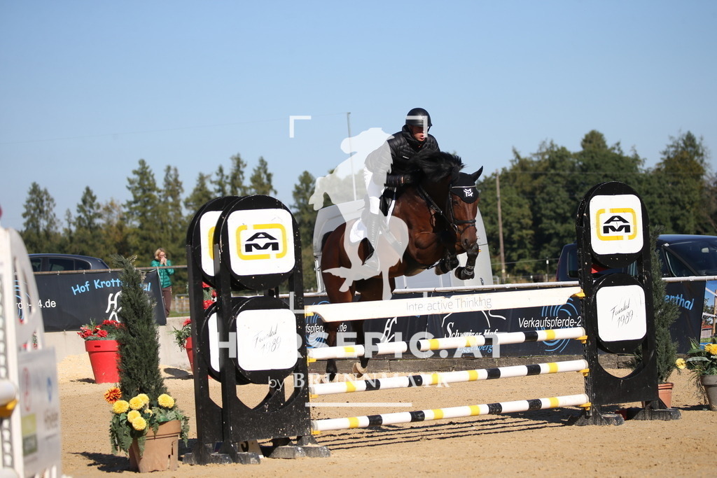 DL2Q3655 | Willkommen bei Brunnmayr - Design & Fotografie – Ihrem Spezialisten für Reitturniere und Pferdeveranstaltungen in Oberösterreich, Salzburg und Bayern! Seit über 17 Jahren sind wir leidenschaftlich dabei.