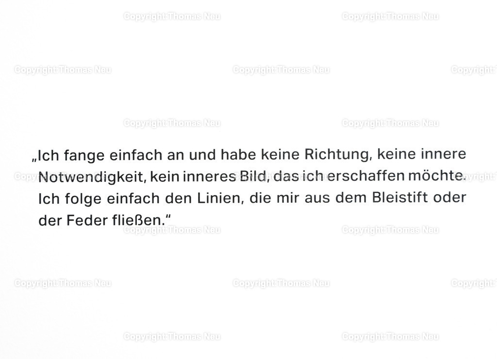 27_Neo_Rauch_Museum_Bensheim | 6.7.2024, bbe, Museum Bensheim, Ausstellung Neo Rauch "im Papiergrund", ,, Bild: Thomas Neu